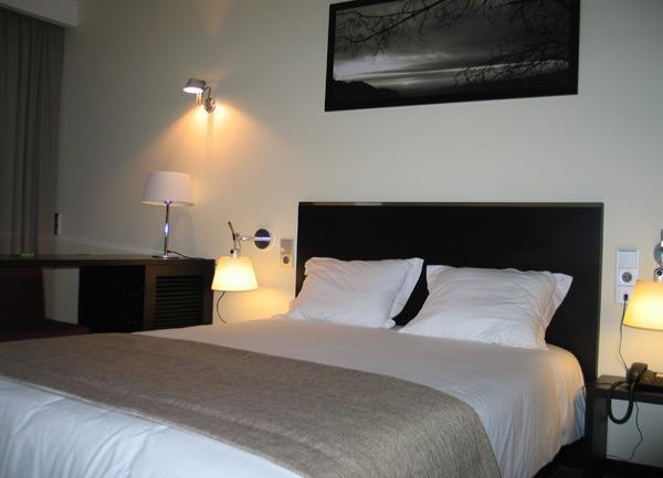 Hotel Sao Pedro Arouca Rum bild